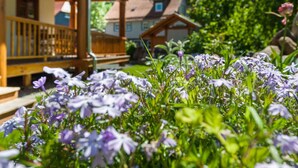 Ein Garten mit violetten Blumen vor einem Holzhaus mit Balkon.