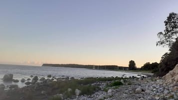 A rocky shoreline with a calm body of water, trees, and a distant landmass.