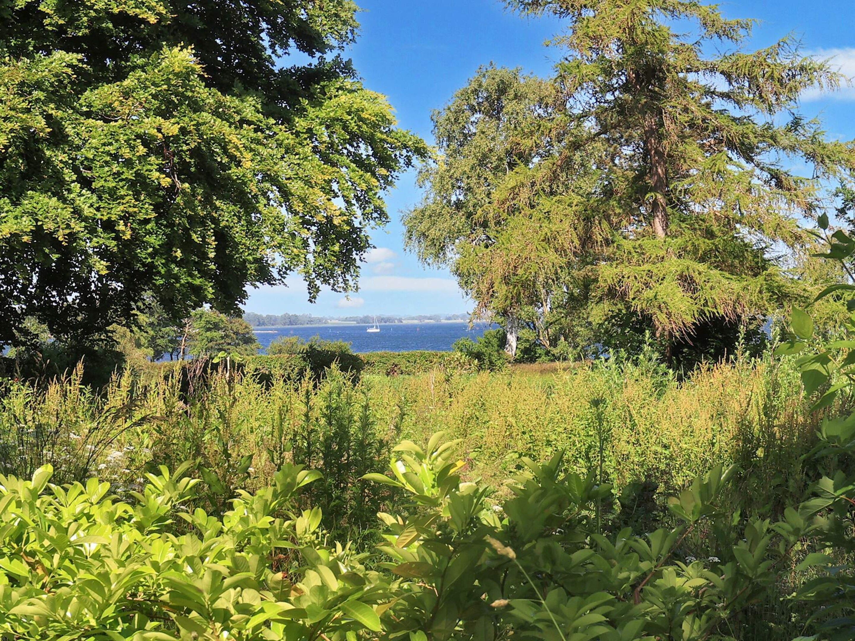 House | Water view