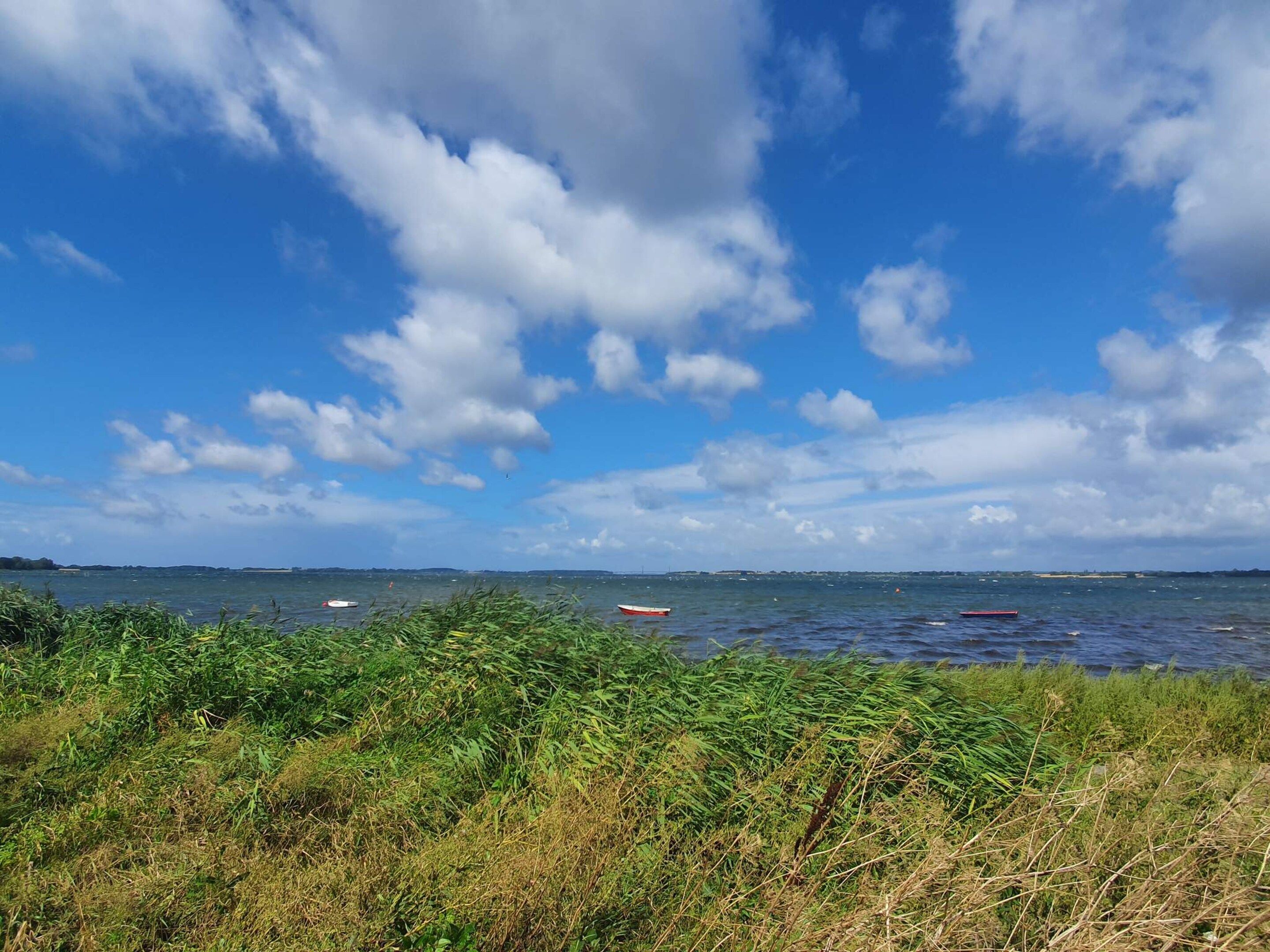 Een kustlandschap met een heldere lucht, begroeiing op de voorgrond en boten op het water.
