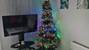 Apartment | Living area - Stunning 1-bed Apartment in Carrick-on-shannon (Carrick-on-Shannon)