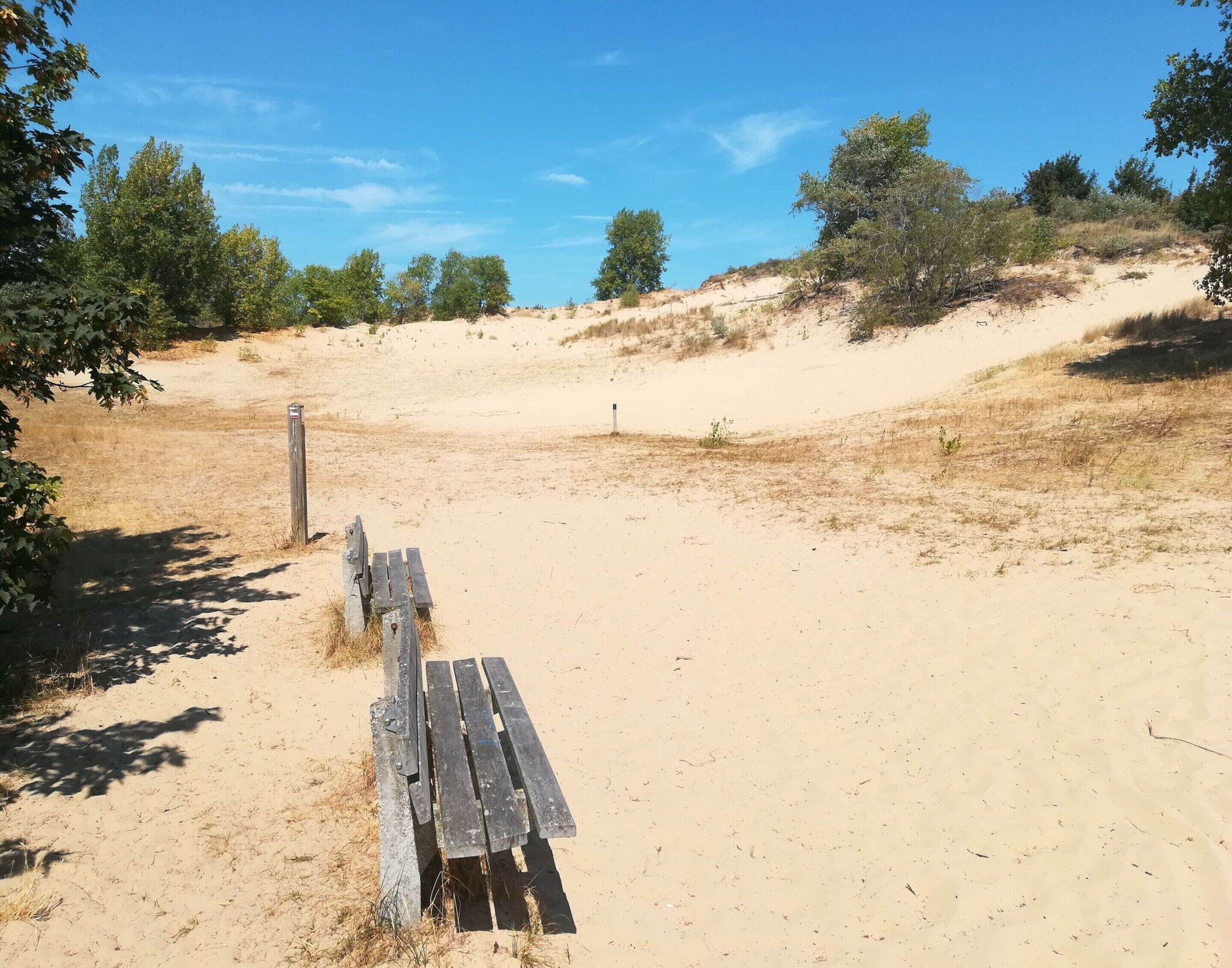 A sandy beach with a wooden bench and sparse vegetation.