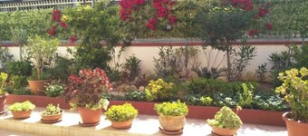 3 Bedroom Apartment in Gallipoli