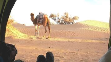 Vue depuis lâhĂ©bergement