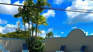 A clear swimming pool with lounge chairs around it, surrounded by a low wall and palm trees. - Nestled in Rodney Bay: Steps from Beaches, Shops, and Dining in St. Lucia. (Rodney Bay)