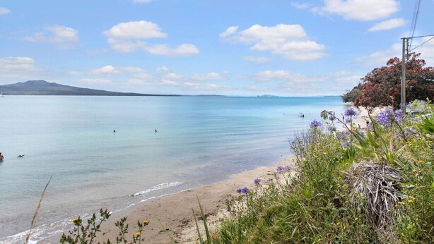 Une plage à l’eau claire, avec une montagne qui se dessine à l’horizon et quelques plantes.
