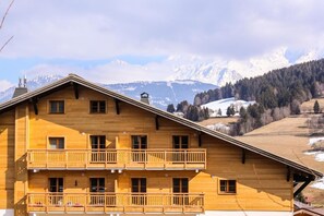 Exterior - Chalet, wifi, view mountain, fitness, swimming pool, sauna, hammam, terrace, balcony, tv, ski locker (Combloux)