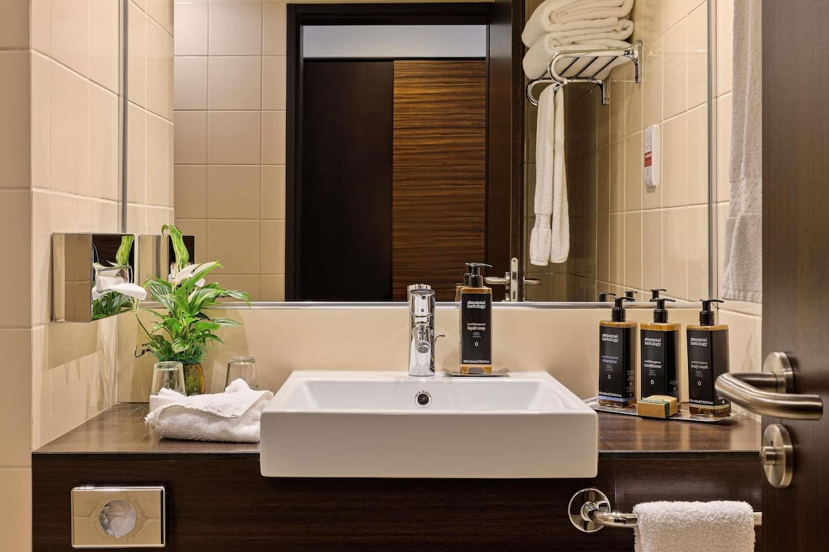 A modern bathroom with a large sink, mirror, and toiletries.