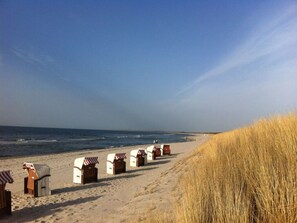 Beach - Studio House on Hof Jumne (Saal)