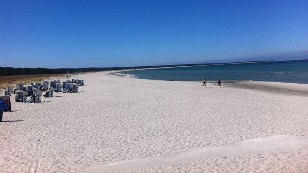 Une plage bordée de rangées de chaises longues et de parasols, un ciel dégagé et une mer calme.