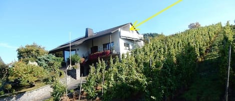 A two-story house with a balcony, surrounded by a vineyard.