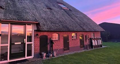 Spacious Luxury Home in Holten with 600 m³ for Exclusive Comfort for 4 Guests