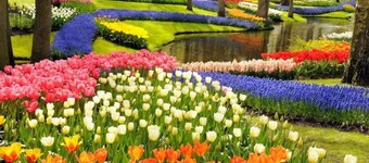 Guesthouse at the Amstel river. 2 Private rooms + bathrooms. Close to Amsterdam.