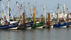A marina with several fishing boats docked. - Charming Apartment in Norden (Norden)