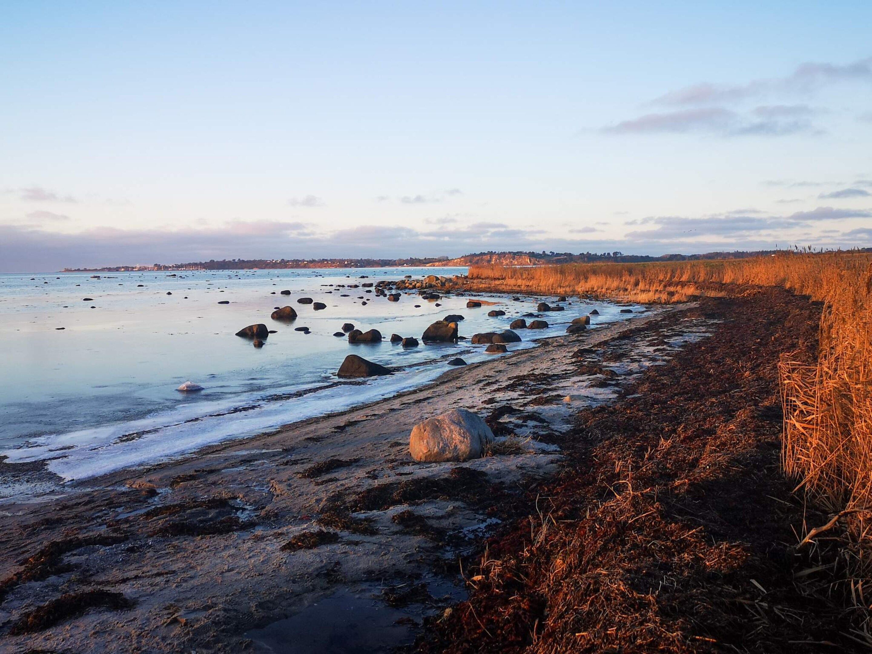 A coastal beach with rocks and grasses.