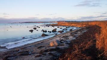 A coastal beach with rocks and grasses.
