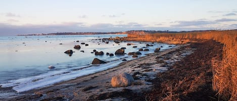 Une plage côtière avec des rochers et de l’herbe.