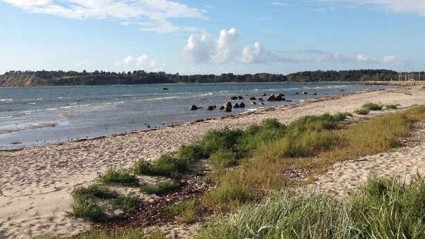 Una platja amb sorra, roques i un bosc al capvespre.
