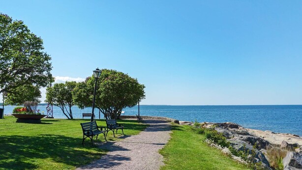 A gravel path leading to a bench and a table with flowers, surrounded by trees and a view of the sea. - 4 Person Holiday Home in Graso (Gräsö)