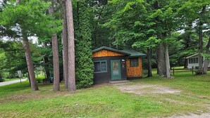 Une petite cabane avec une porte verte et un revêtement extérieur en bois, entourée d’arbres et d’une zone herbeuse.