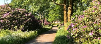 Tranquil Apartment in Goslar - Bockswiese
