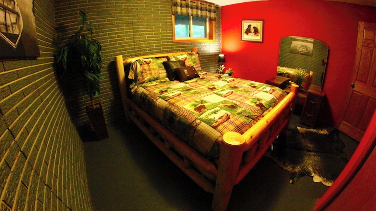Een kamer met een bakstenen muur, een bed met quilt, een raam, een plant en een hond.