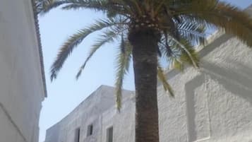 Exterieur