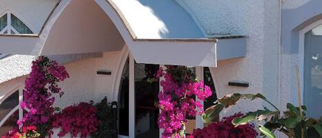 A white building with a covered entrance, steps leading up to it, and vibrant pink flowers in front.