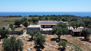 Uma casa moderna com telhado plano, rodeada por oliveiras e um muro de pedra, com vista para a costa.