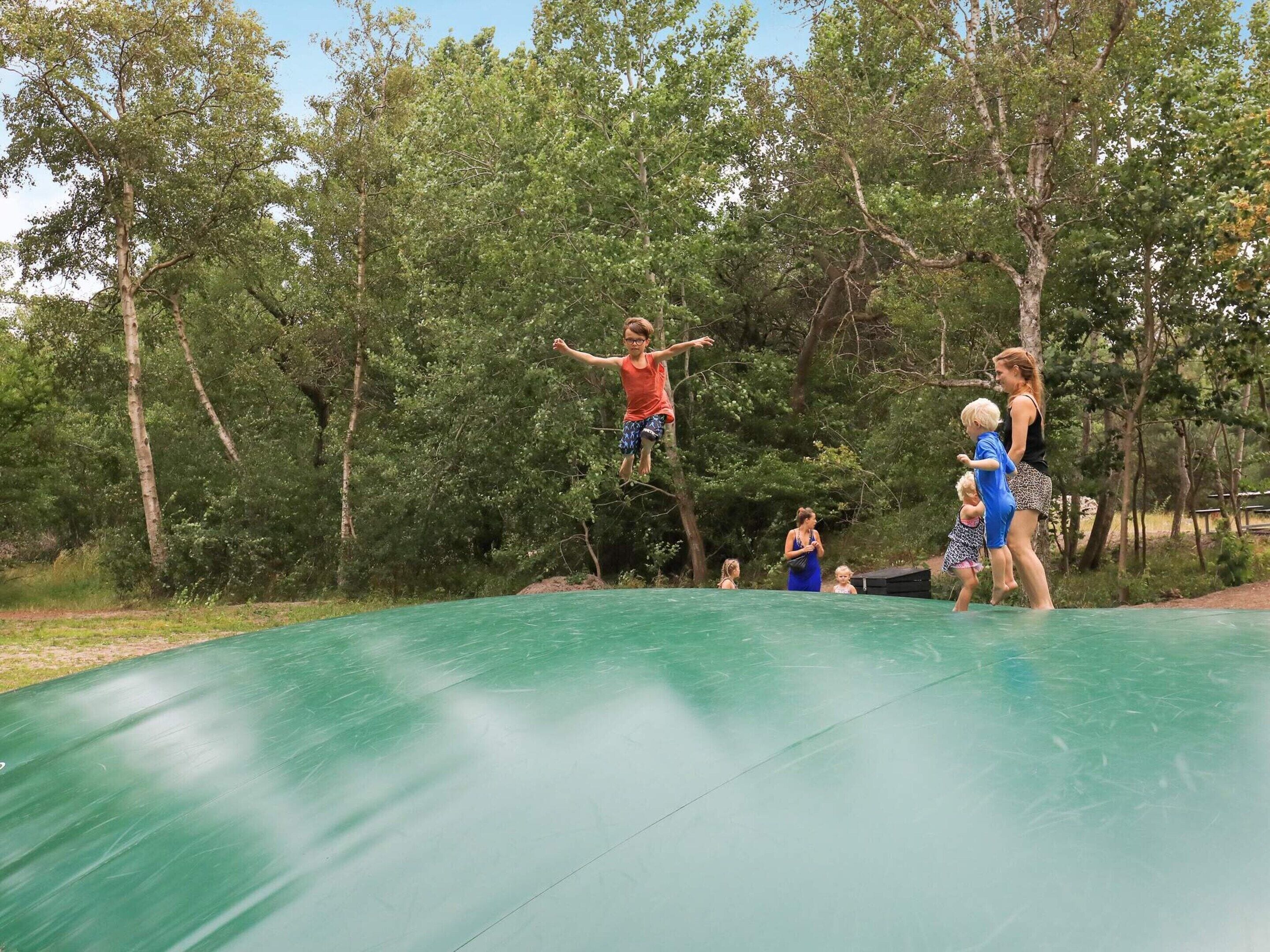 A trampoline in an outdoor setting surrounded by trees.