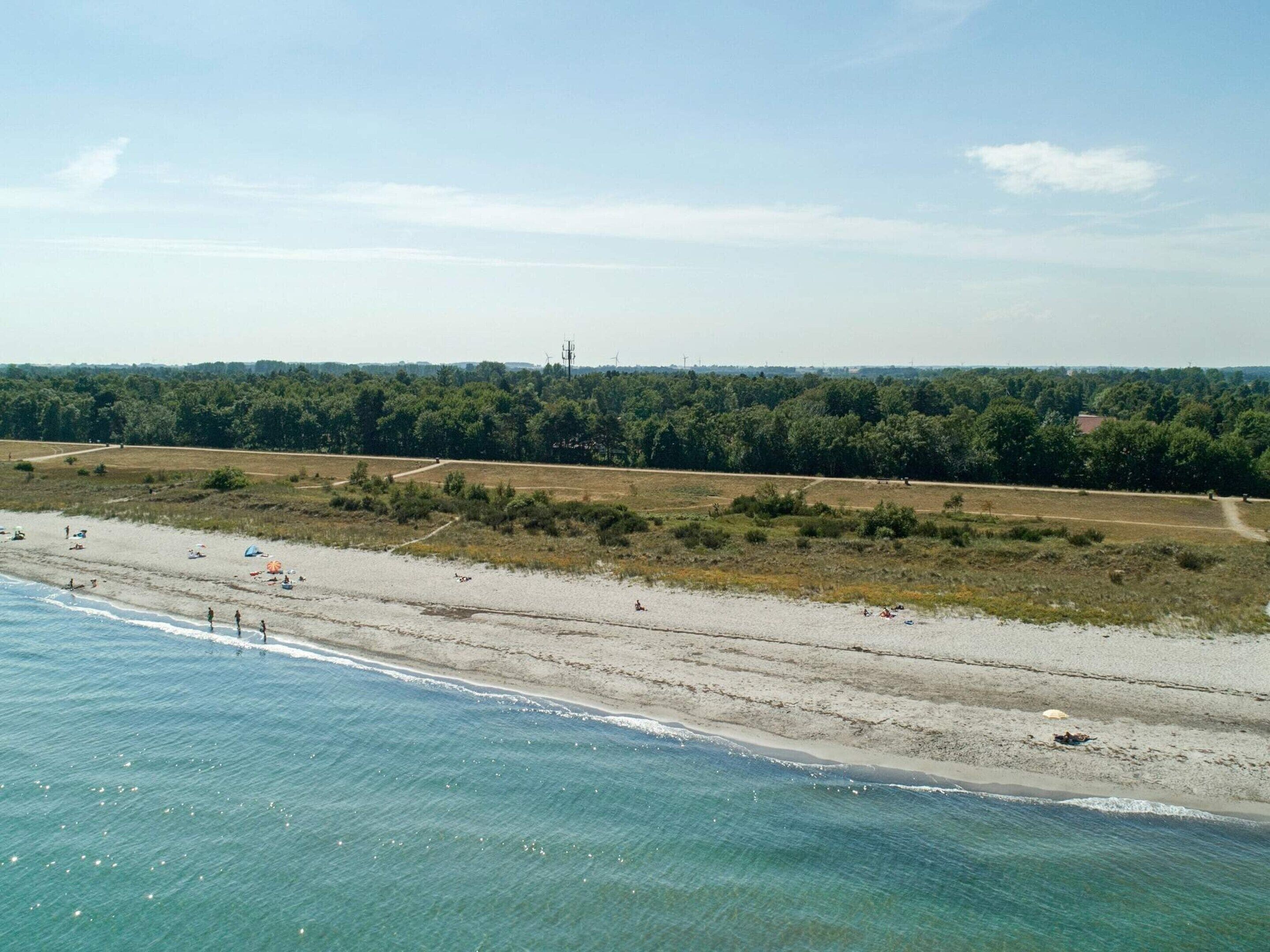 A beach with clear water, a sandy shore, and a forested area in the background.