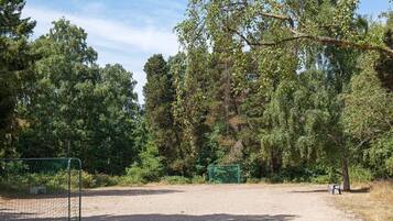 House | Sport court