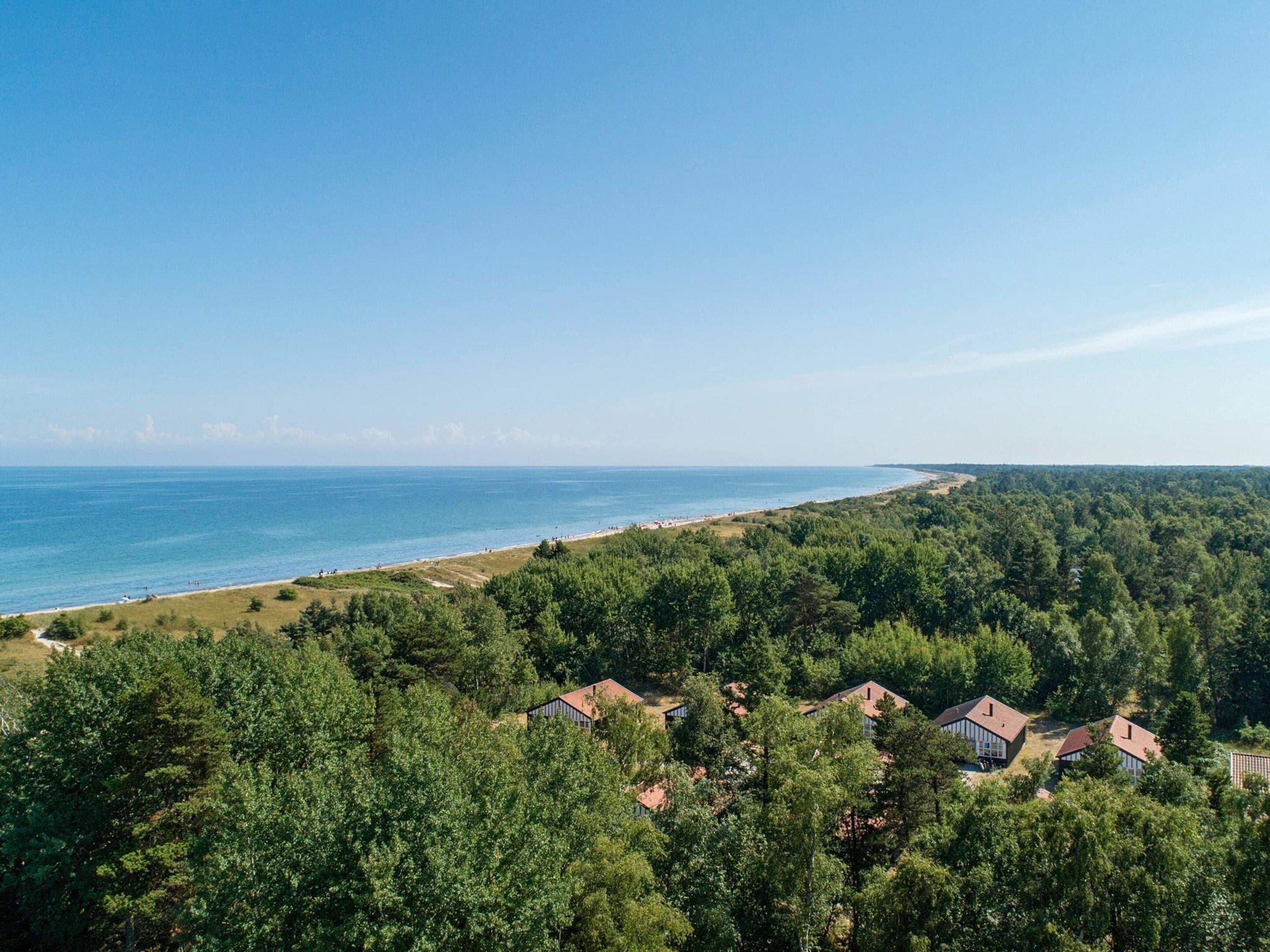 A coastal residential area with houses surrounded by dense forest, a beach, and a clear blue sky.