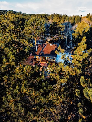 Exterior - Sunflower Cabin- Mountain Views- Hot tub (Florissant)