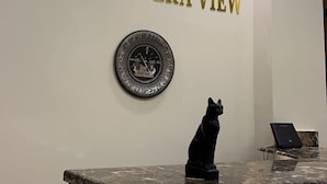 A reception desk with a marble top and a black cat statue. Above the desk, there is a sign that reads "PYRAMIDS ERA VIEW". - Pyramids Era View (Giza)