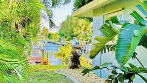 Un jardín tropical con piscina, palmeras y un edificio de fachada blanca.