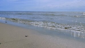 Una playa con agua cristalina y una orilla de arena.