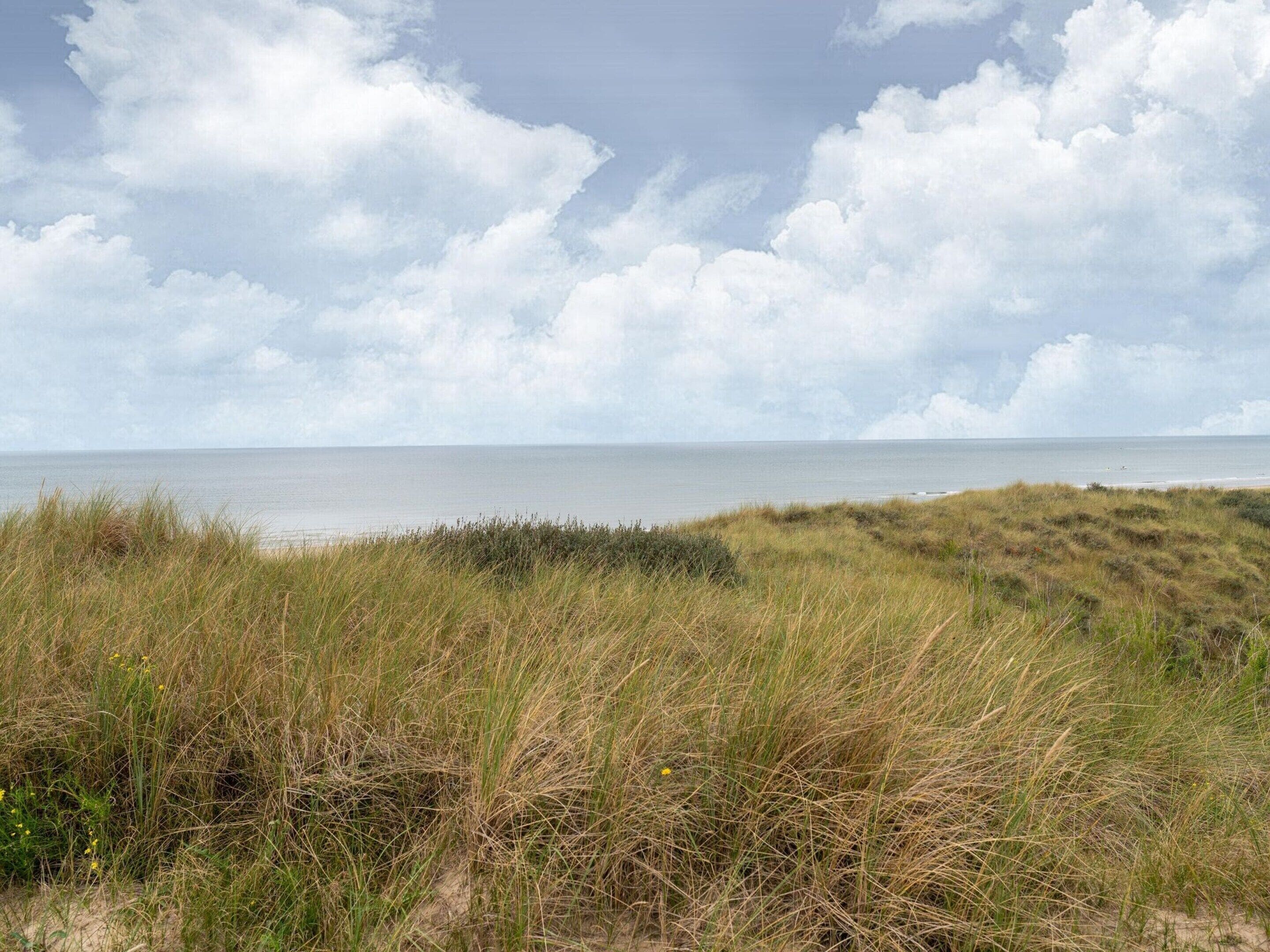 Vista desde la propiedad