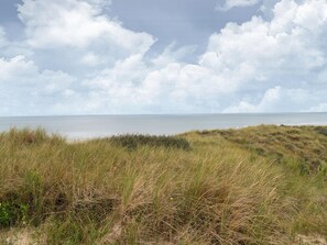 House | View from property - Holiday House in Bergen With Sauna (Bergen)