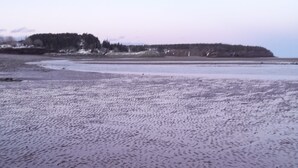 A beach with wet sand and a distant shoreline.