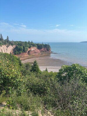 A coastal landscape with cliffs, beach, and dense greenery.