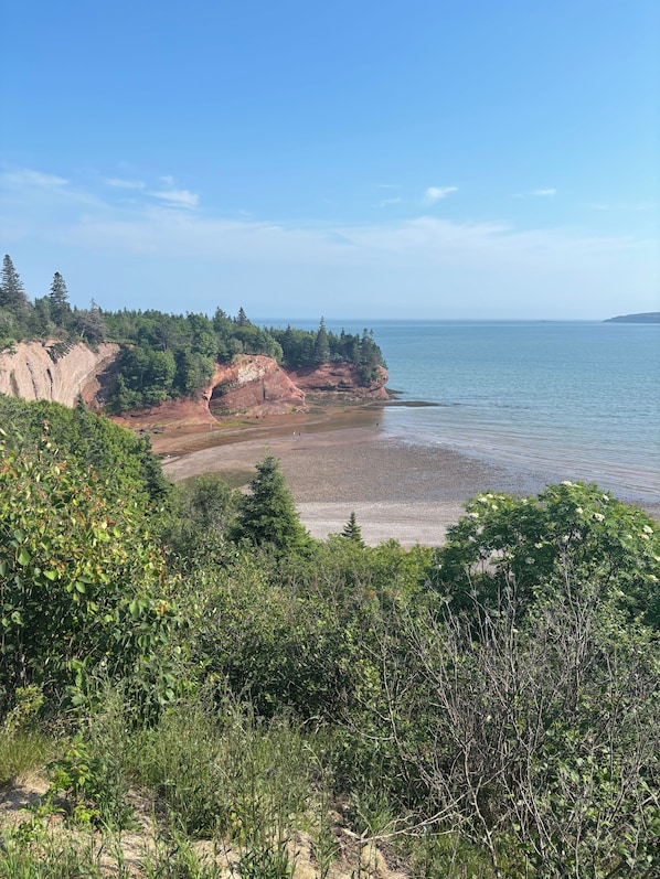 A coastal landscape with cliffs, beach, and dense greenery.