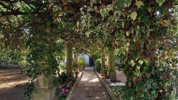 A stone pathway under a vine-covered pergola leading to a building entrance.