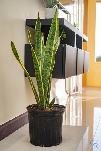 Charming refuge at Colbeck Manor 
