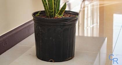 Charming refuge at Colbeck Manor