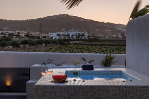 Suite Deluxe, piscina privada, vistas al viñedo | Vistas al viñedo
