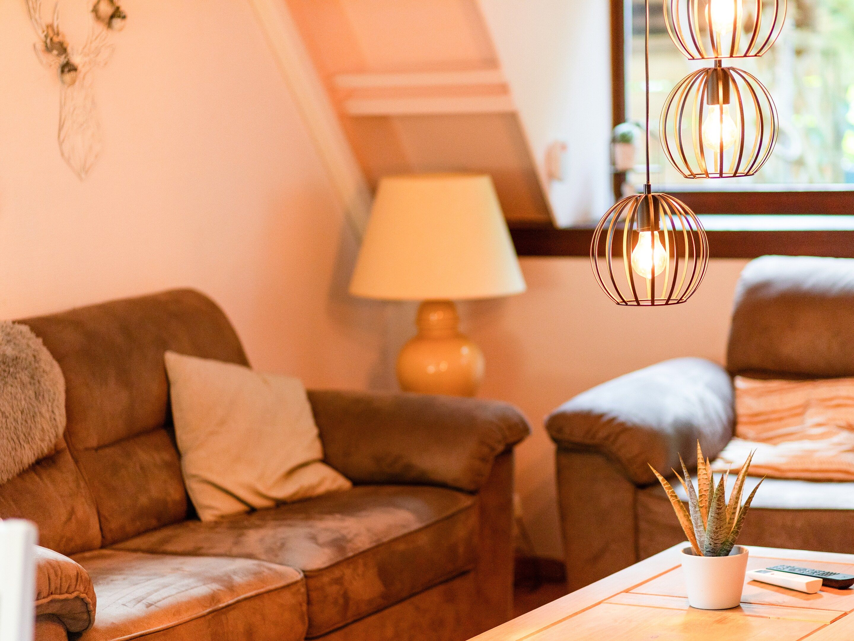 A living room with a brown sofa, a lamp, a potted plant, and a remote control on a wooden table.
