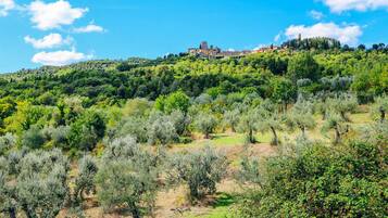 Blick von der Unterkunft