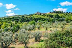 View from property - Palazzo Ninci (Civitella in Val di Chiana)