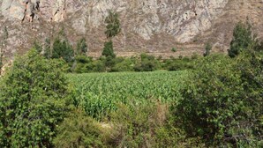 A rocky mountain landscape with a field in the foreground. - Full Moon Eco Lodge (Ollantaytambo)